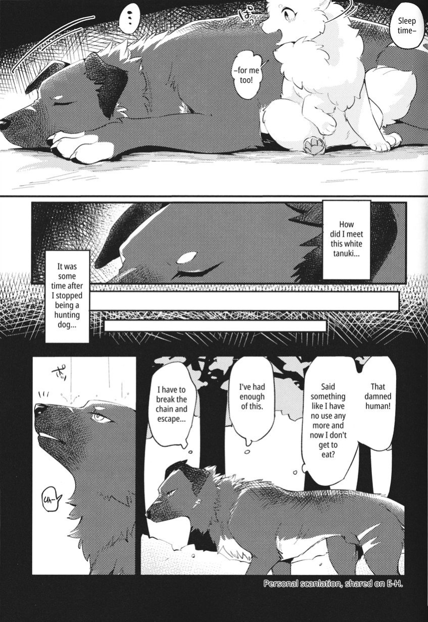 (Kemoket 14) [Kaiten ParaDOGs (Minaga Tsukune)] Kokoro Karu Made | The Tanuki and the Hound