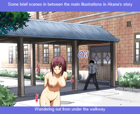 [ACTIVA (SMAC)] R-Otome Personal ~Akane Onosaka~ [SaLamiLid]
