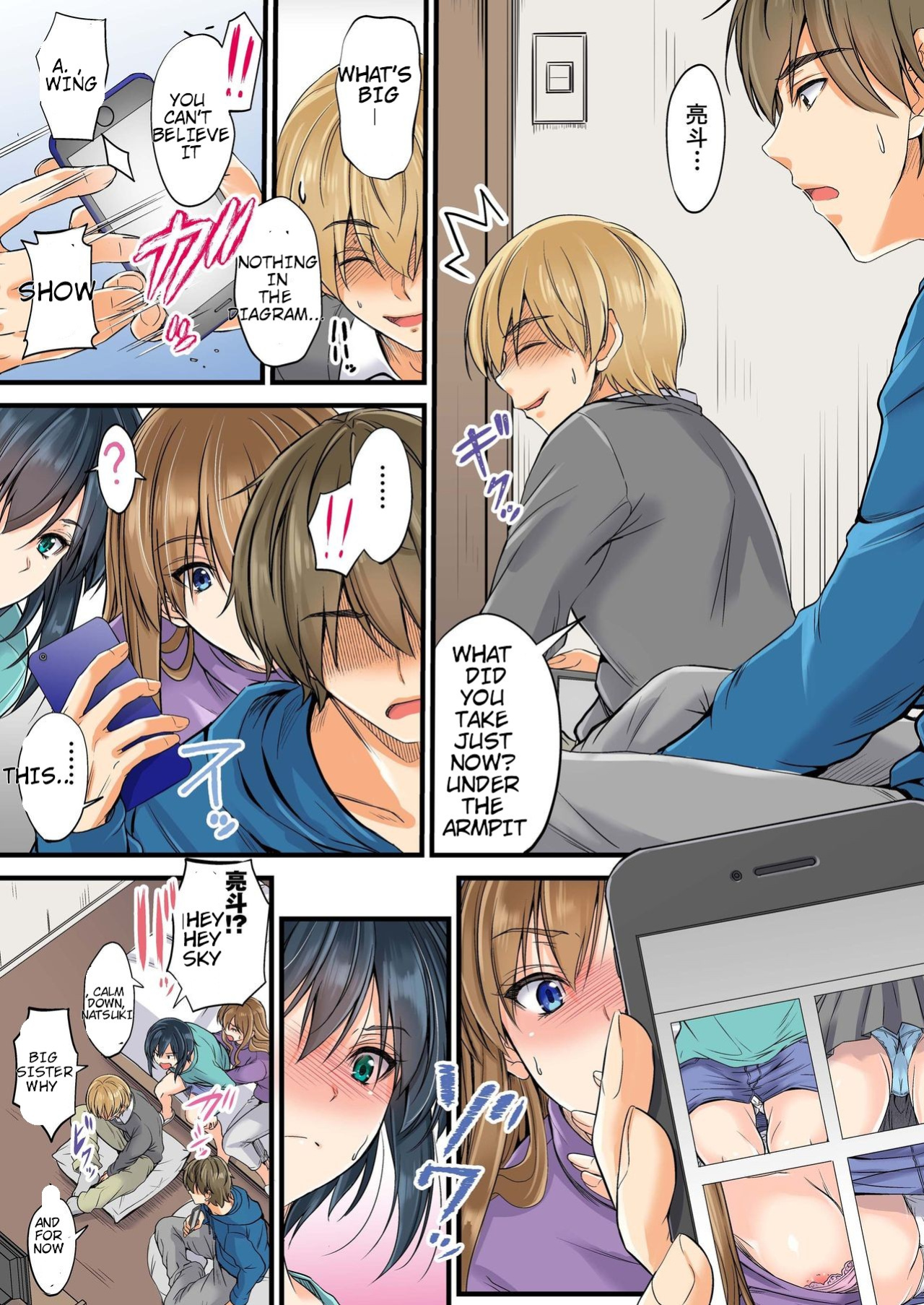 [DM-FC (Mutsuki)] Netorareta Osananajimi Shimai