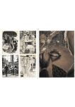 Wally Wood: Galaxy Art and Beyond