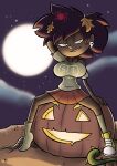 [PlanZ34] Amphibia