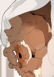 Kumase and inokuma