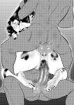 [Lyze] Cat's Eye QOS Experience