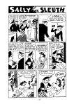 [Adolphe Barreaux] Sally the Sleuth [English]