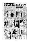 [Adolphe Barreaux] Sally the Sleuth [English]