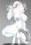 lVlirror Collection [2020-2026/05]