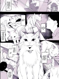 [Poriuretan] Neko [Team Rabu2]