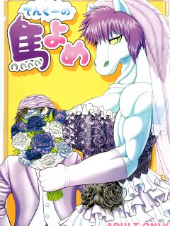 (Kansai! Kemoket 5) [Seiitsukyou (Goto-Beido)] Tenkuu no Uma Yome (Dragon Quest V) [AkazaChan] Preview