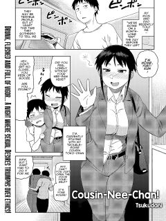 [Tsukudani] Cousin-Nee-Chan! [a dolphin] Preview