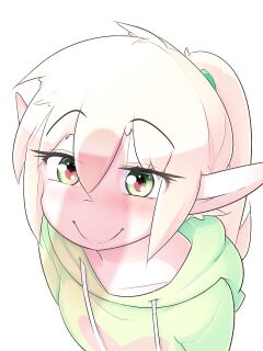 Max the elf (Hoodie)