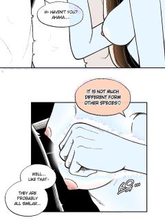 [LangD] 2024-11-15 고양이(猫)(Cat)