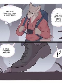 [Wolfanine] A Late Hike (OC)