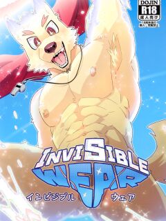 (Kemoket 14) (Nikunabe) Invisible Wear Preview