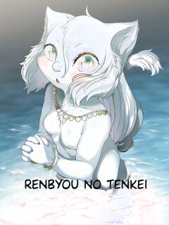 [NME] Renbyou no Tenkei [MTL] Preview