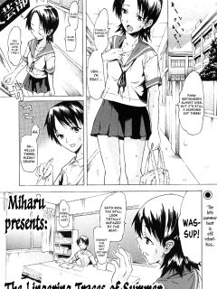 The Lingering Traces of Summer [Your Deer Friends REDACTED]