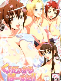 [MEAN MACHINE (Mifune Seijirou)] Critical Burst!! (Dead or Alive) Preview