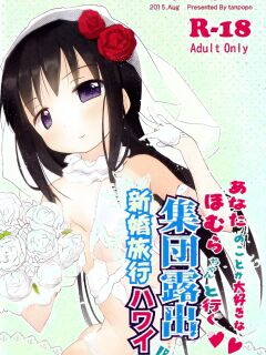 (C88) [Tanpopo (Anshin Mama)] Anata no Koto ga Daisuki na Homura-chan to Iku Shuudan Roshutsu Shinkon Ryokou Hawaii!! (Puella Magi Madoka Magica) [desudesu]