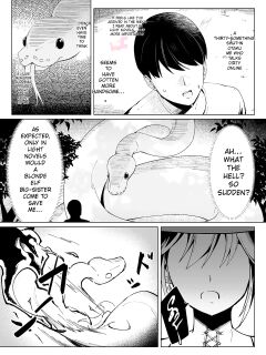 Isekai Tensei shitara Seiyoku MAX Majo ni Osoware Doutei Sotsugyou Shichaimashita | En