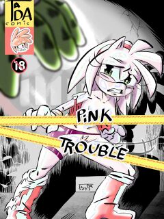 [Ta_DA] Pink Trouble (Sonic the Hedgehog)