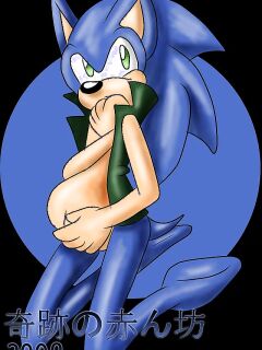 SonicRemix's Sonic Mpreg Art Preview